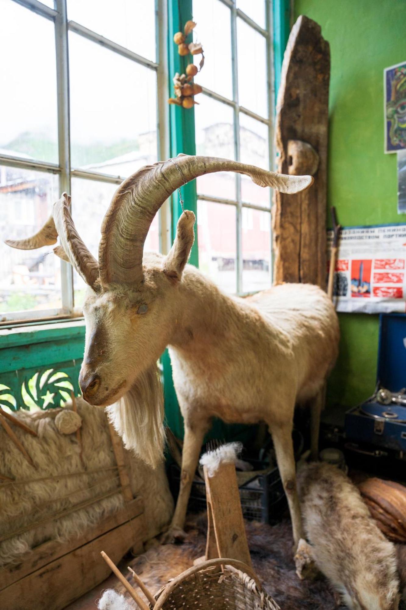 Guesthouse Svani Ushguli ภายนอก รูปภาพ